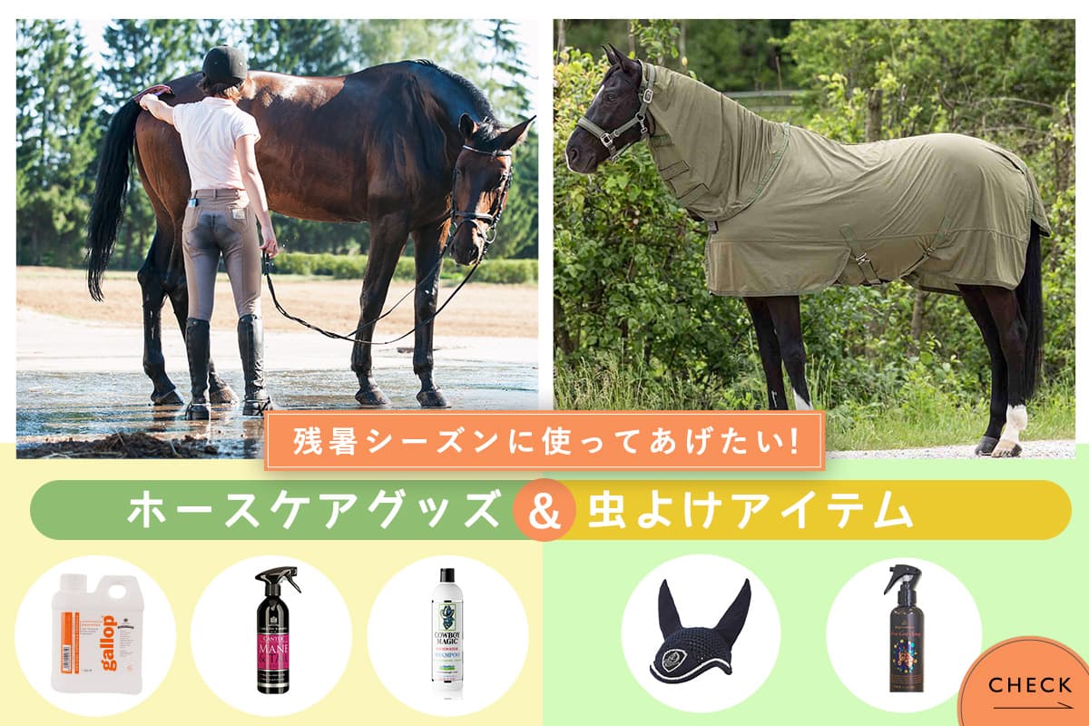 乗馬用品 シューマッハの水勒用鼻革 新品 普通サイズ 許可なく 黒 平革
