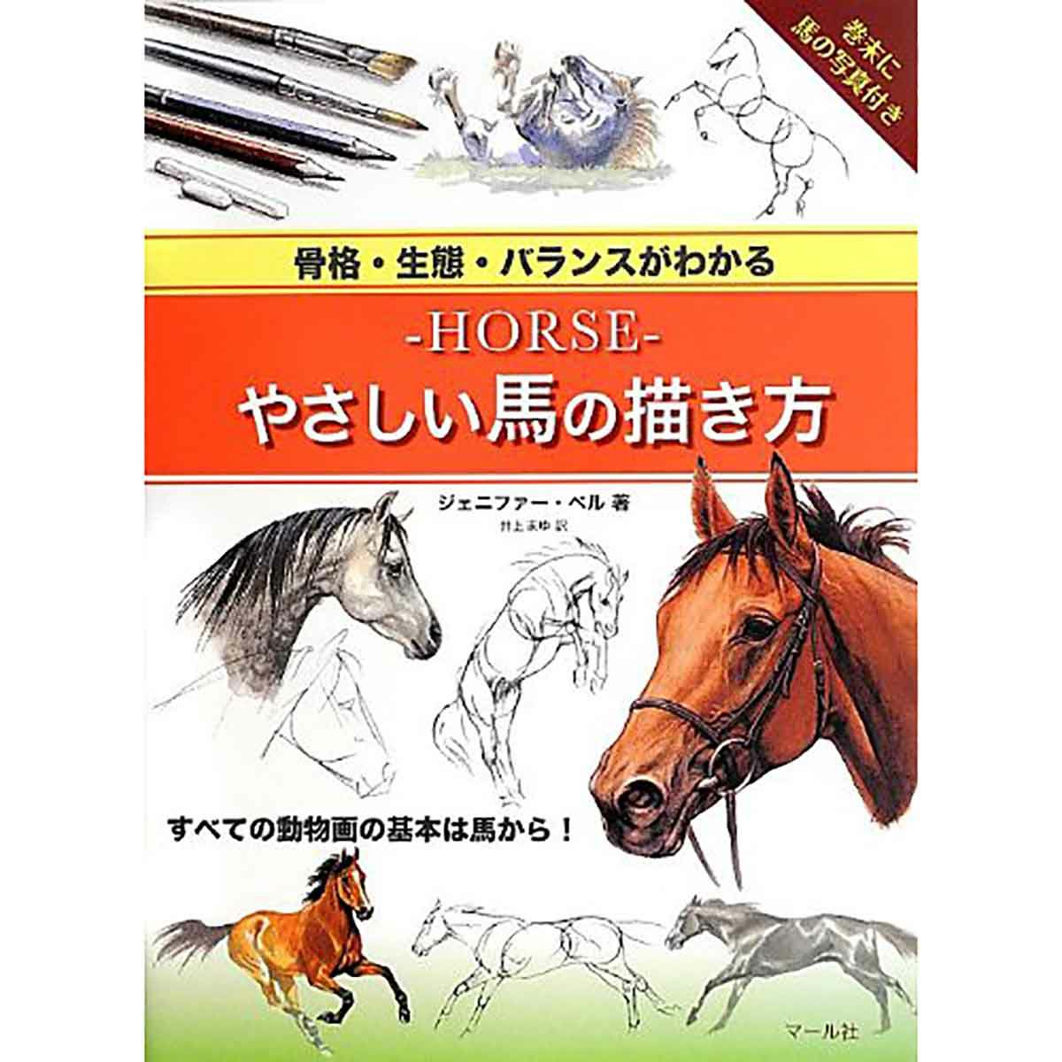 骨格 生態 バランスがわかる Horse やさしい馬の描き方 Jodhpurs ジョッパーズ 乗馬用品 ライフスタイル