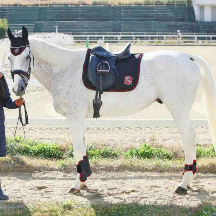EQULIBERTA サドルパッド イヤーネット 2点セット|JODHPURS