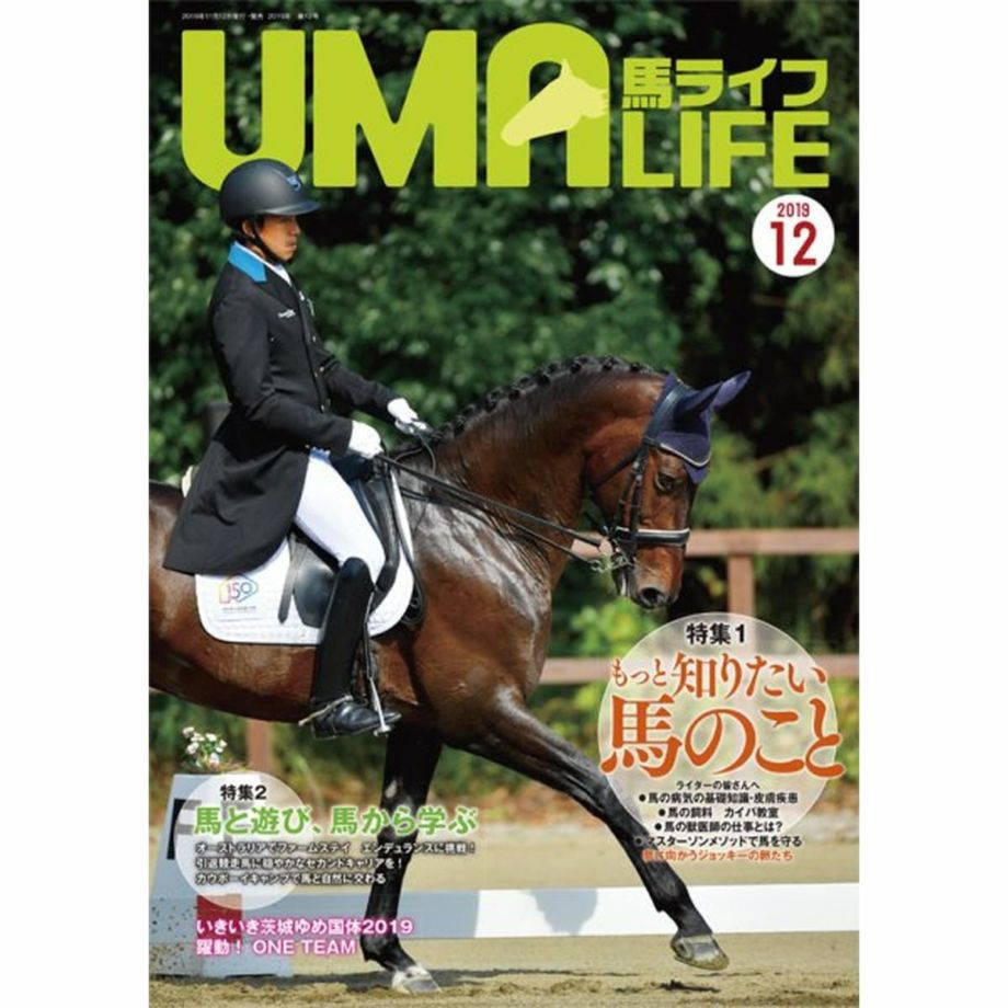 乗馬 セット HKM HORSY Sサイズ Mサイズ-