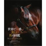 世界で一番美しい馬の図鑑|JODHPURS (ジョッパーズ) 乗馬用品