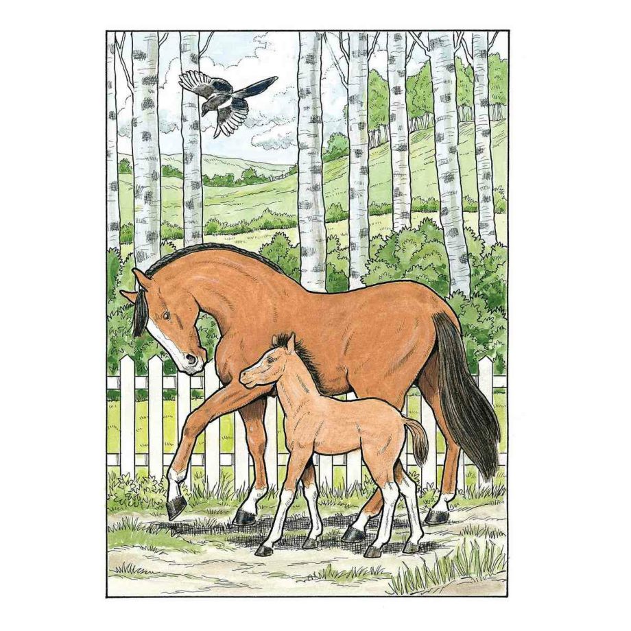 クリエイティブ・ヘブン 馬の塗り絵ブック （洋書 Creative Haven Great Horses Coloring Book