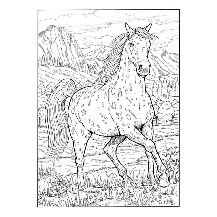 クリエイティブ・ヘブン 馬の塗り絵ブック （洋書 Creative Haven Great Horses Coloring Book ...