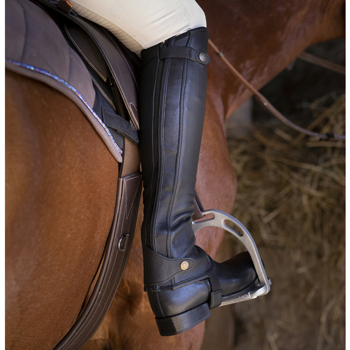 EQUITHEME エリート 本革 ハーフ チャップス|JODHPURS (ジョッパーズ 