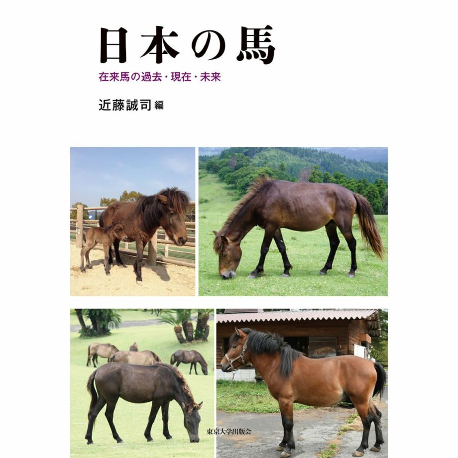 日本の馬 在来馬の過去・現在・未来 |JODHPURS (ジョッパーズ