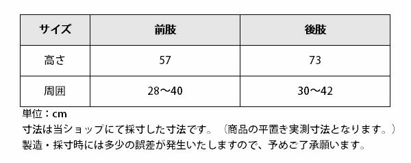 省スペース 洗える おしゃれ 乗馬用品 Covalliero トラベルブーツ