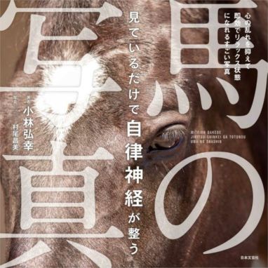 ⭕ヴァレグロ～オリンピック金メダルホースの軌跡～ ヴァレグロ～オリンピック金メダルホースの軌跡～|JODHPURS