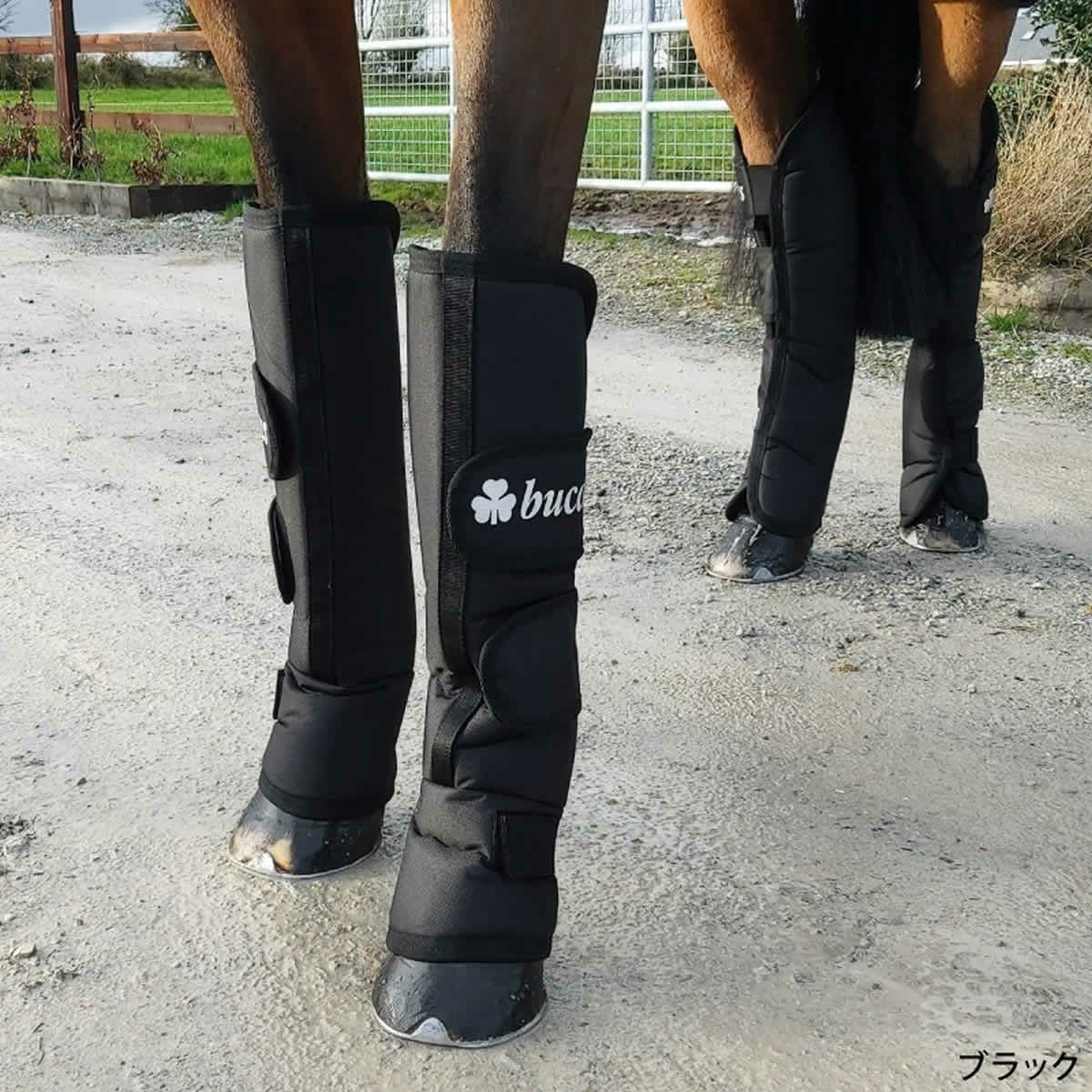 bucas トラベルブーツ 2（前肢後肢セット）|JODHPURS (ジョッパーズ 