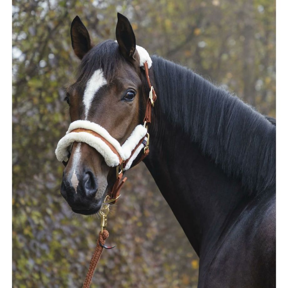Covalliero カバリエロ グルーミングバッグ 乗馬 馬術