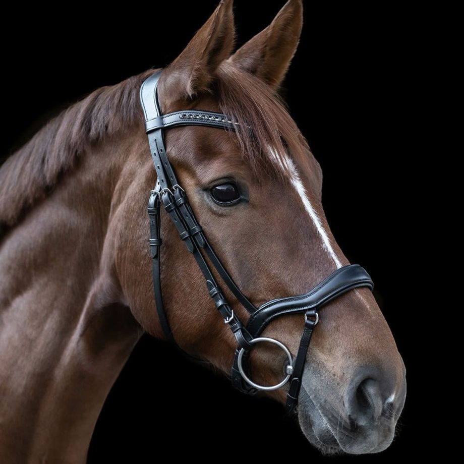 馬とコミュニケーションを取るのに重要な「頭絡（とうらく）、馬銜（はみ）、手綱（たづな）」のイメージ