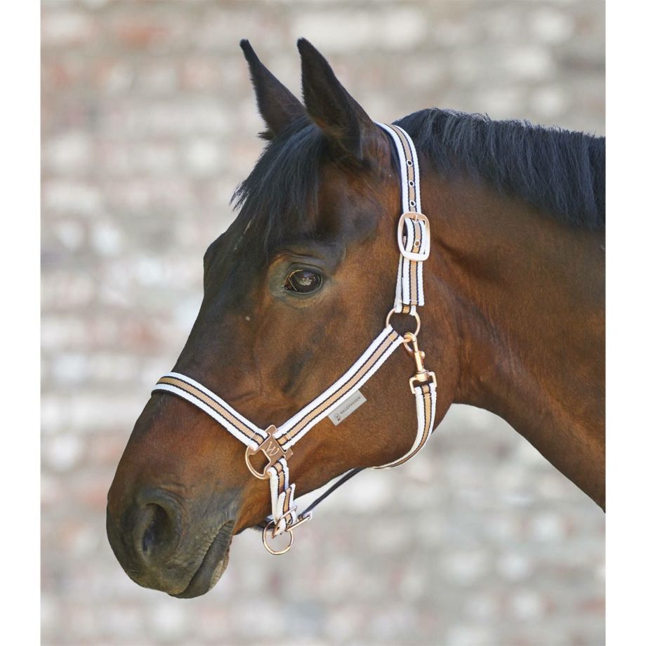 MAXIMILIAN EQUESTRIAN 乗馬用品 無口 リードロープ ボア - その他