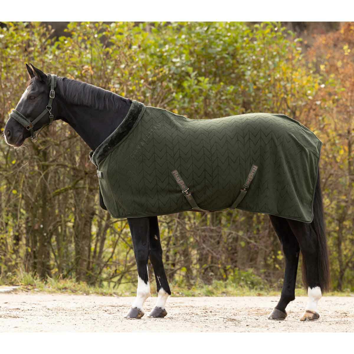 乗馬用品 ランボー 光り輝き 馬着 馬具