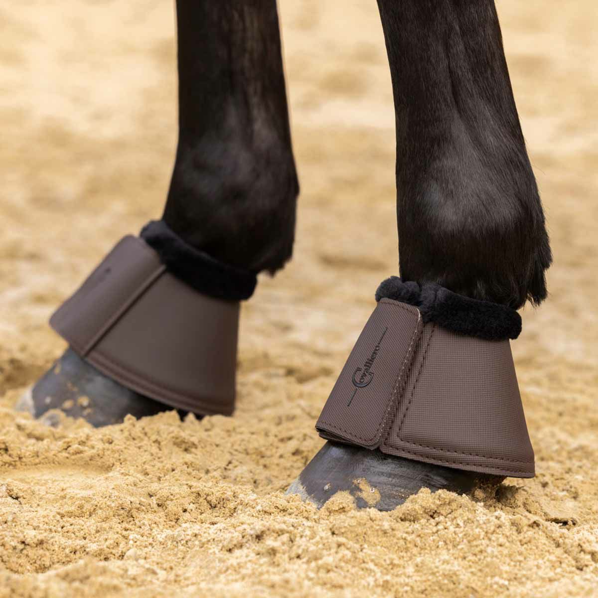 乗馬《新品未使用品》Pikeur キュロット ブラウン34（乗馬用品  