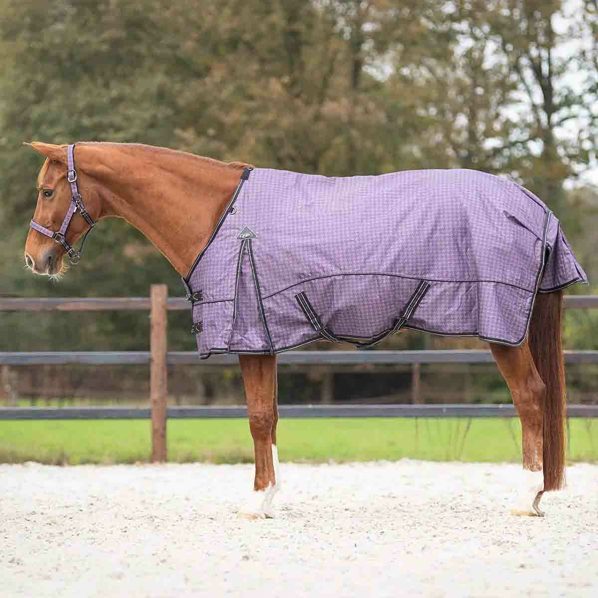 Premier Equine 3Dワッフル クーラー 馬着|JODHPURS (ジョッパーズ 