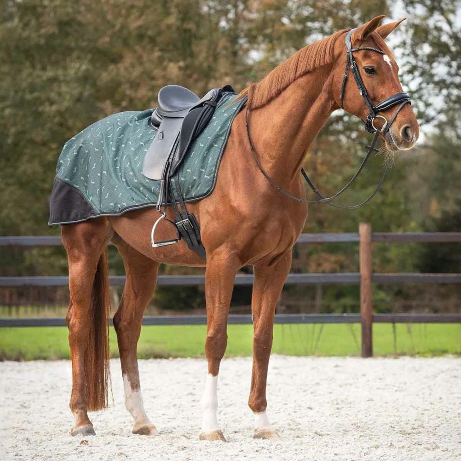 乗馬　馬　ブラッシュブーツ　馬用プロテクター　ブラッシングブーツ 馬場　FULL Amazon | PS of SWEDEN 乗馬用品 ブラッシングブーツ ブラッシュ