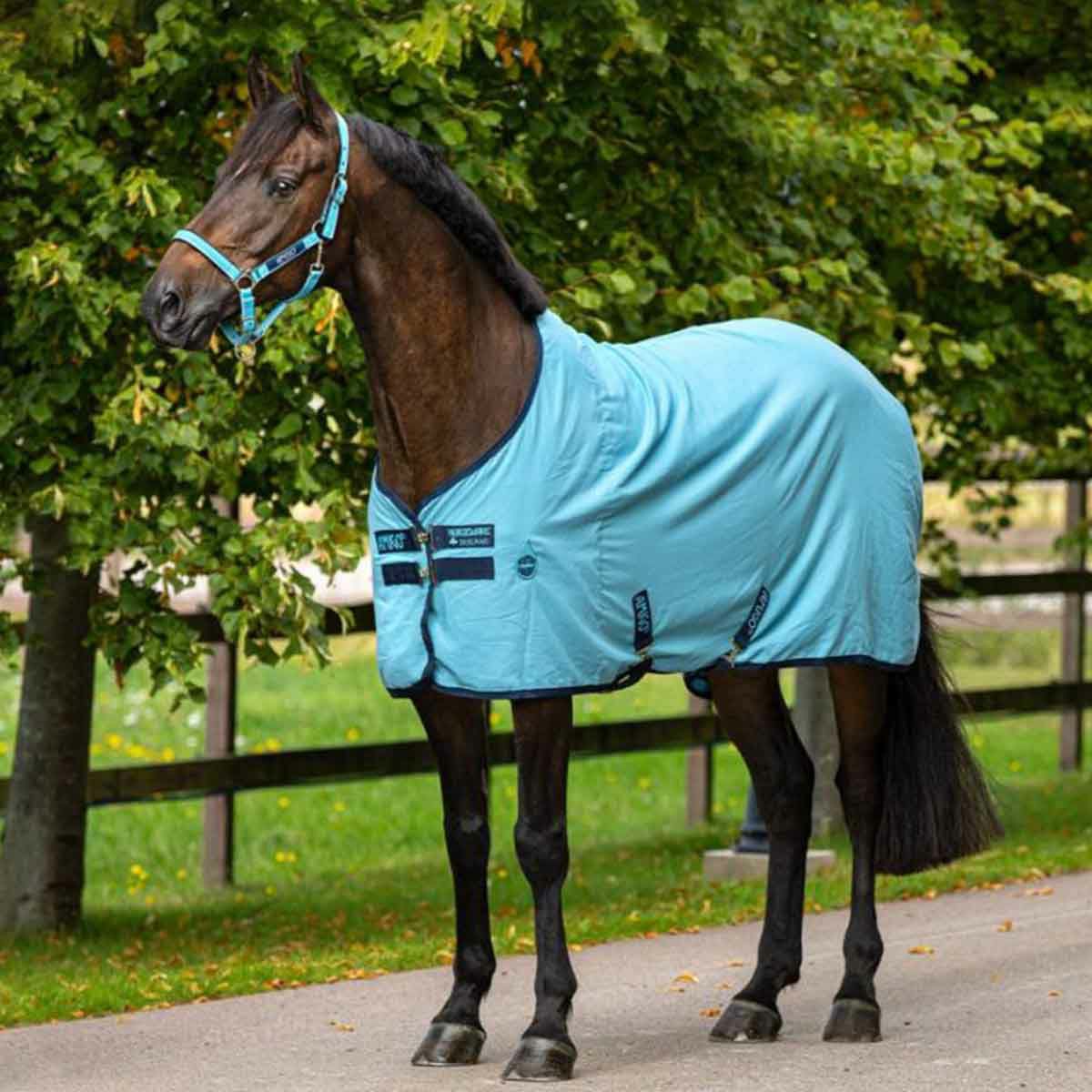 馬着|JODHPURS (ジョッパーズ) 乗馬用品＆ライフスタイル