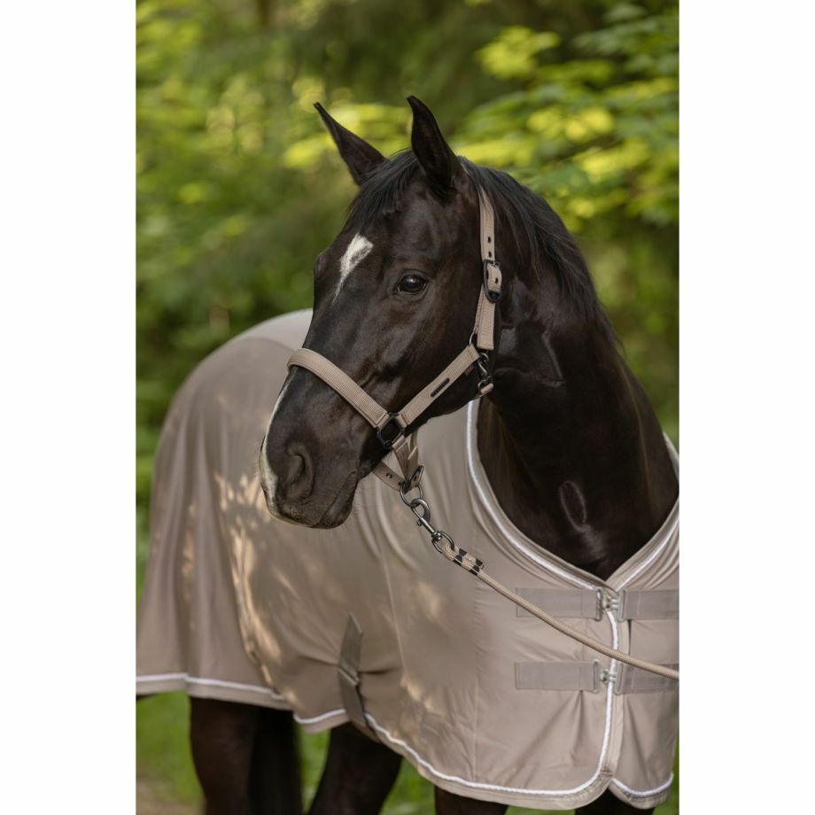 Amigo Bug Buster Vamoose Fly Sheet - Lavender | eBay