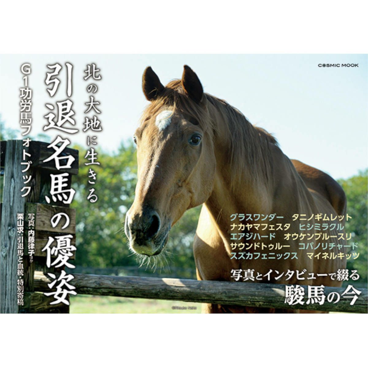 書籍・雑誌|JODHPURS (ジョッパーズ) 乗馬用品＆ライフスタイル